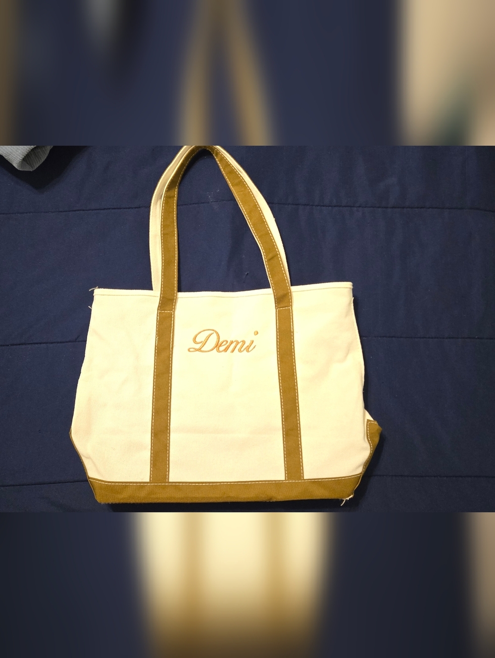 Embroidered Canvas Tote in Cream and Tan